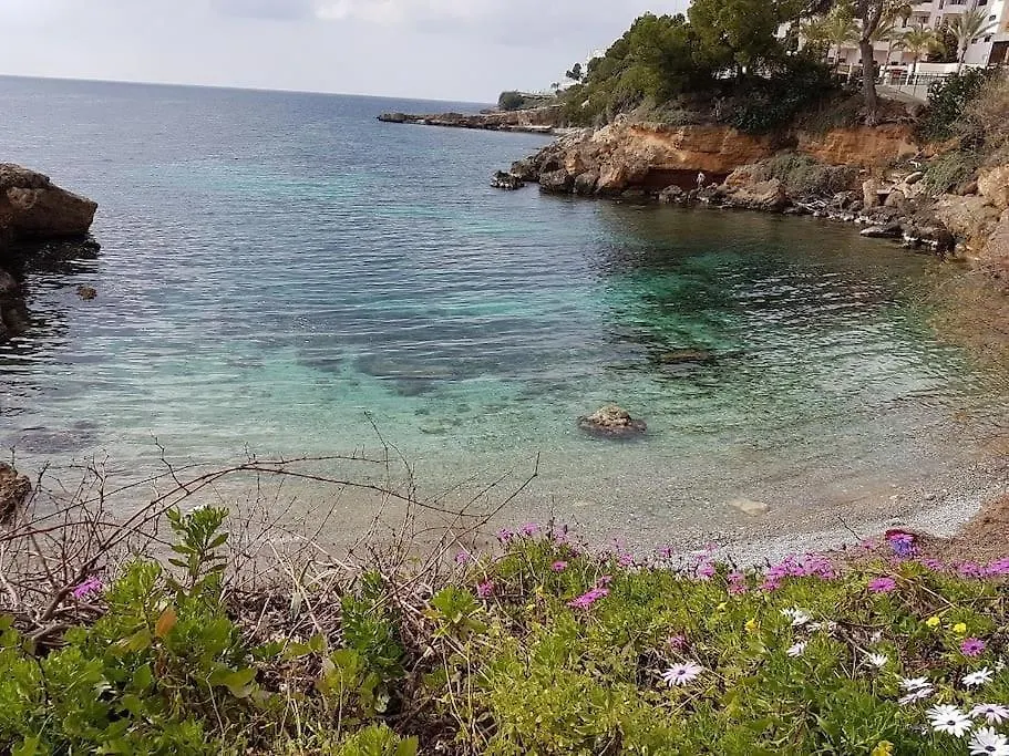Caesar Apartment Santa Ponsa