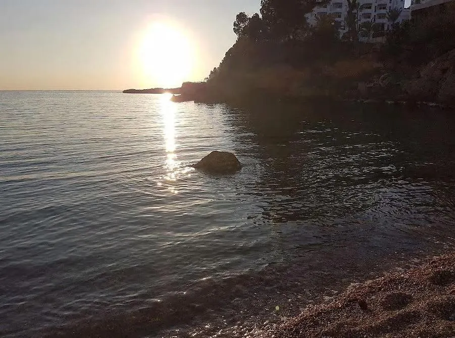 Caesar Apartment Santa Ponsa