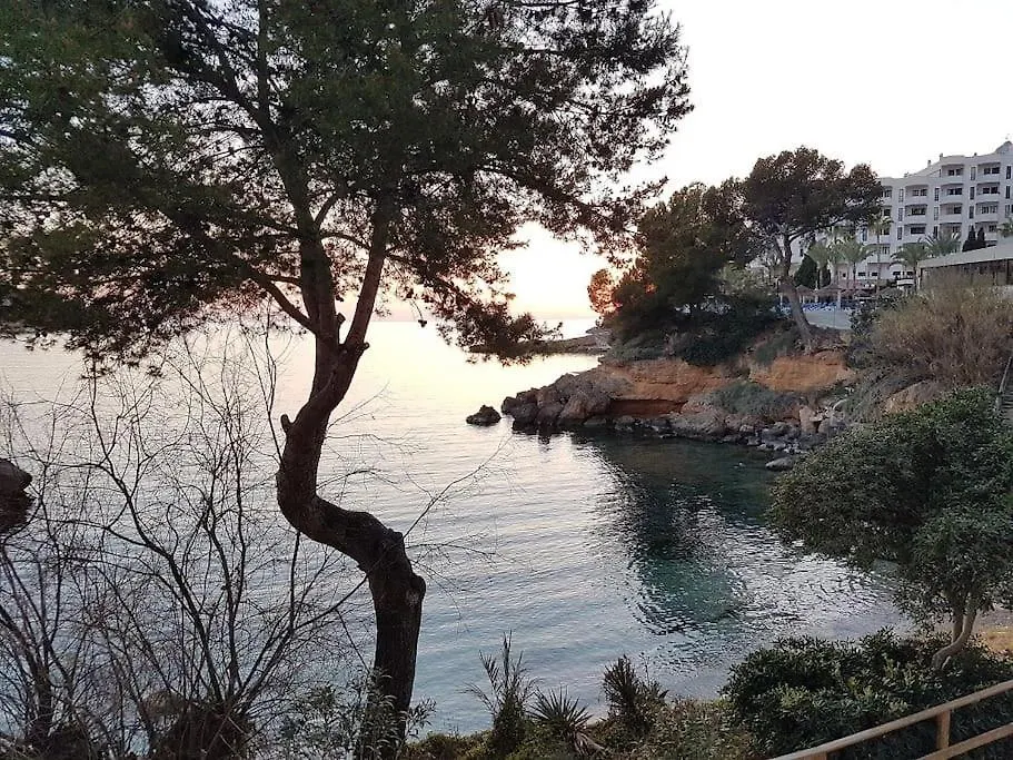 Caesar Apartment Santa Ponsa